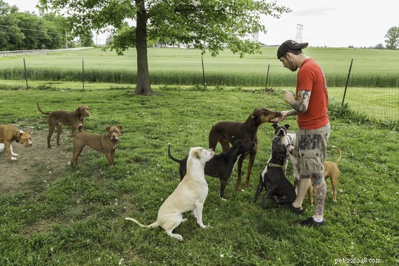 Dog Roundup #29: Top Must-Read Articles of the Week