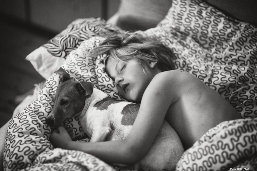 Week 28: Curated Highlights of the Best Dog Articles