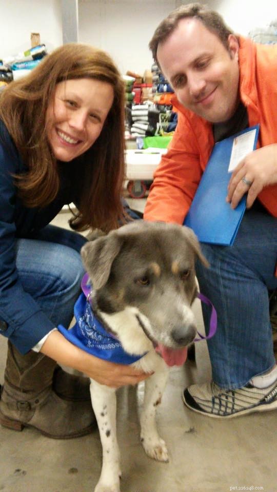 Jeremiah: A Shy Dog s Journey from Shelter to Forever Home