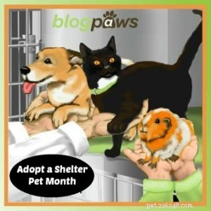 Jeremiah: A Shy Dog s Journey from Shelter to Forever Home