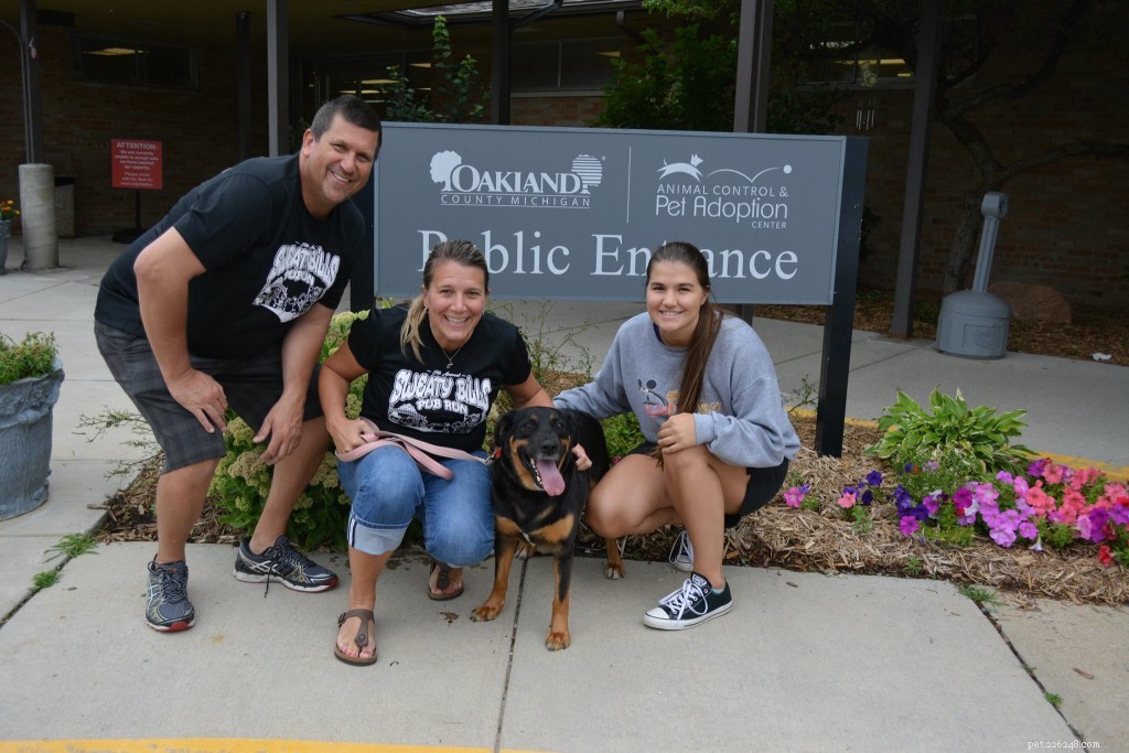 17 Adorable Dogs Celebrate Their New Homes with Heartwarming Smiles