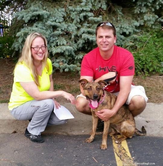 17 Adorable Dogs Celebrate Their New Homes with Heartwarming Smiles