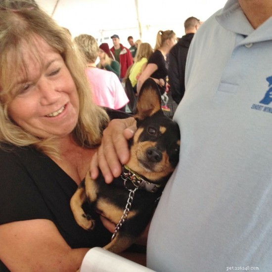 17 Adorable Dogs Celebrate Their New Homes with Heartwarming Smiles