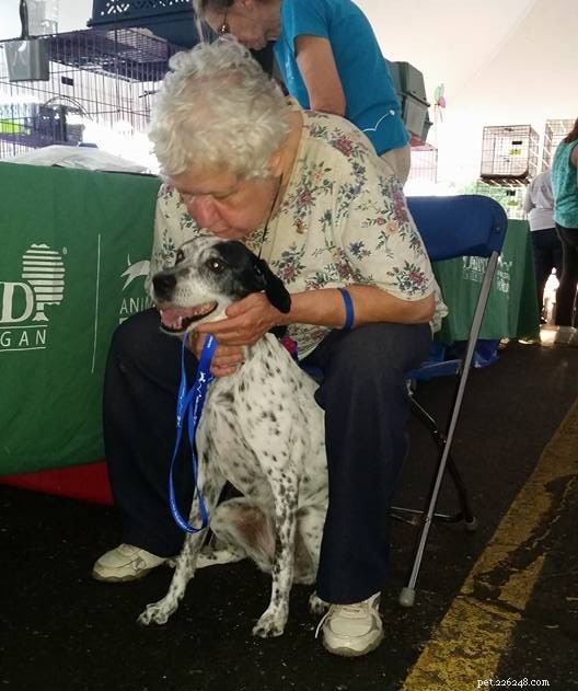 17 Adorable Dogs Celebrate Their New Homes with Heartwarming Smiles