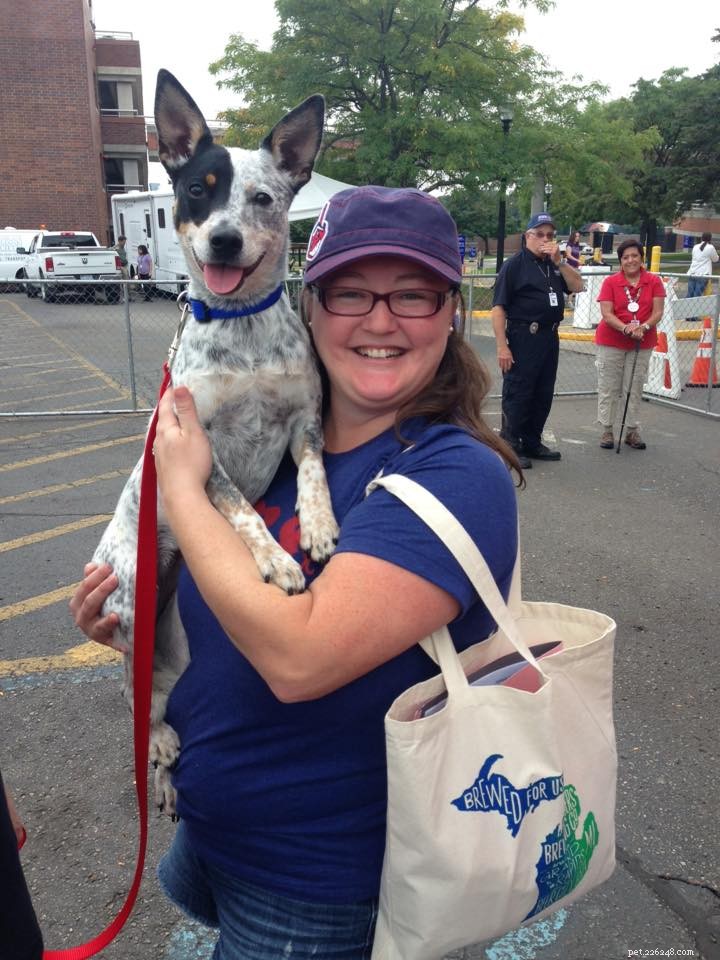 17 Adorable Dogs Celebrate Their New Homes with Heartwarming Smiles