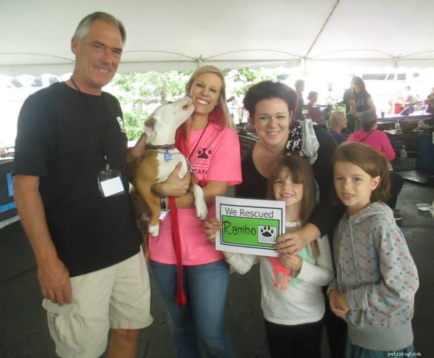 17 Adorable Dogs Celebrate Their New Homes with Heartwarming Smiles