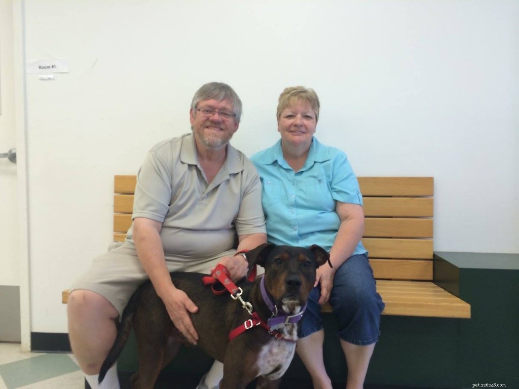17 Adorable Dogs Celebrate Their New Homes with Heartwarming Smiles