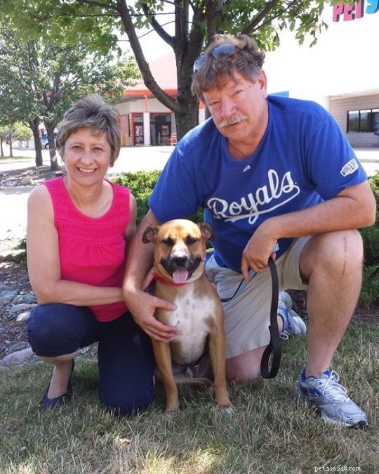 17 Adorable Dogs Celebrate Their New Homes with Heartwarming Smiles