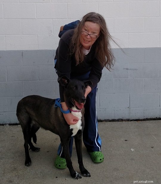17 Adorable Dogs Celebrate Their New Homes with Heartwarming Smiles