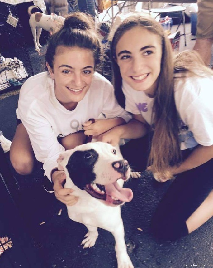 17 Adorable Dogs Celebrate Their New Homes with Heartwarming Smiles