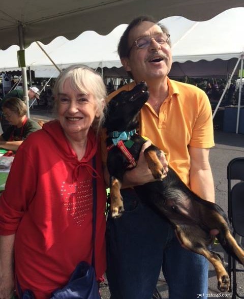 17 Adorable Dogs Celebrate Their New Homes with Heartwarming Smiles