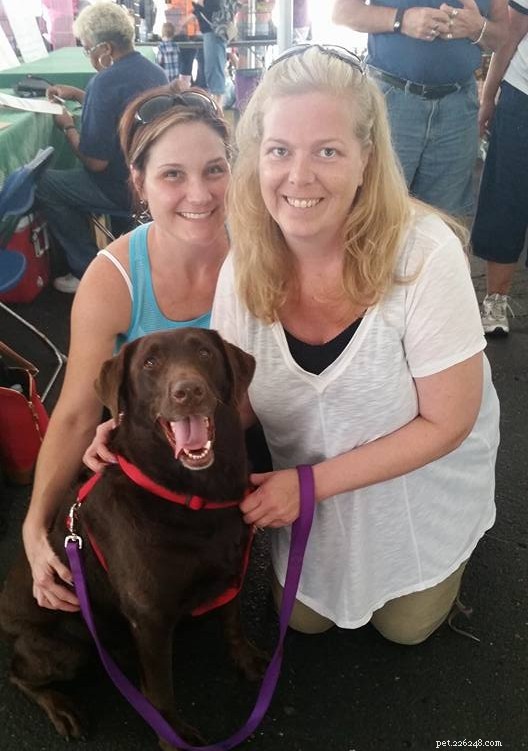 17 Adorable Dogs Celebrate Their New Homes with Heartwarming Smiles