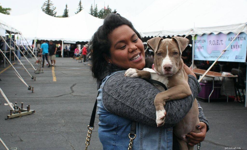 17 Adorable Dogs Celebrate Their New Homes with Heartwarming Smiles