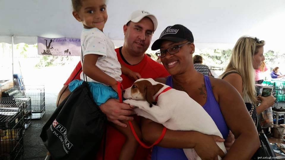 17 Adorable Dogs Celebrate Their New Homes with Heartwarming Smiles