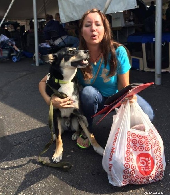 17 Adorable Dogs Celebrate Their New Homes with Heartwarming Smiles