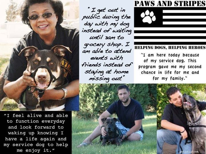 VA & Purdue University Lead Groundbreaking PTSD Service Dog Research