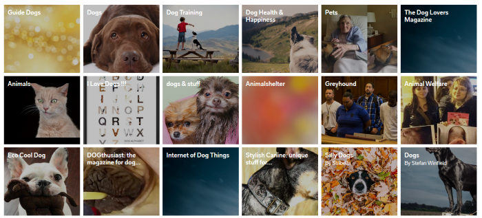 13 Reliable Sources for the Latest Dog Articles
