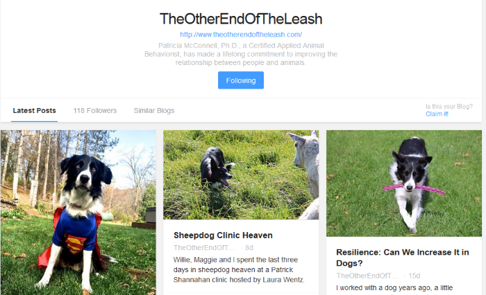 13 Reliable Sources for the Latest Dog Articles