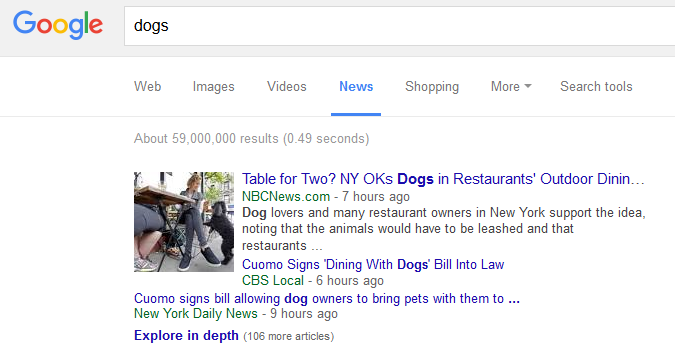 13 Reliable Sources for the Latest Dog Articles