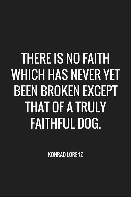 100 Inspiring Dog Quotes to Brighten Your Day