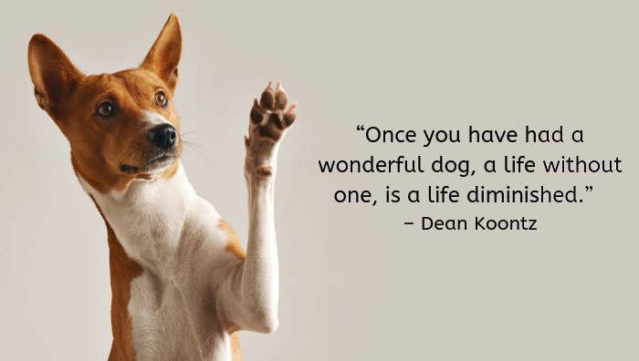 100 Inspiring Dog Quotes to Brighten Your Day