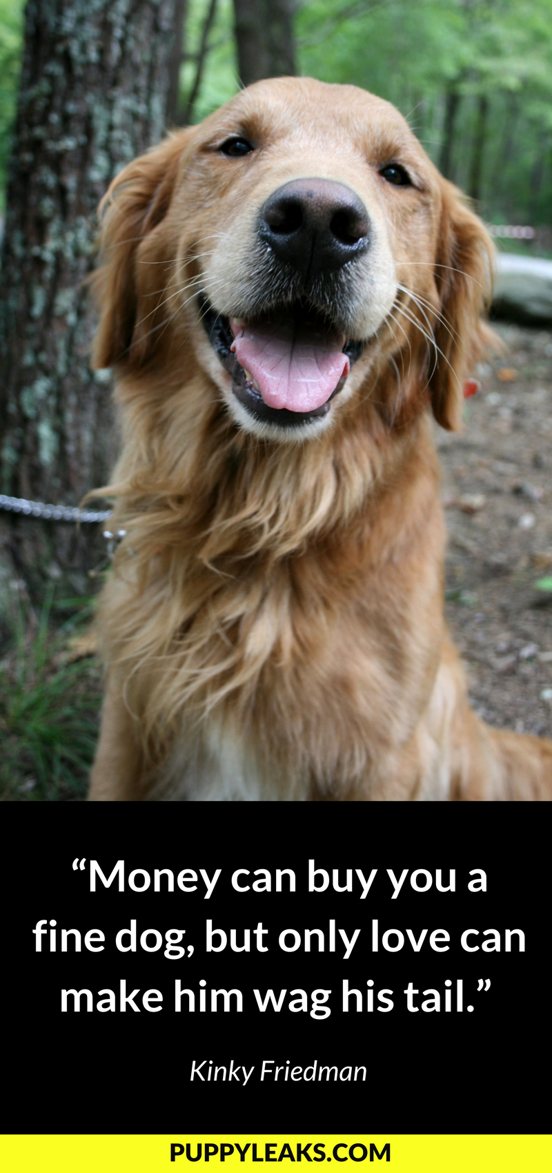 100 Inspiring Dog Quotes to Brighten Your Day