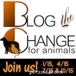 Prison Dog Programs: Transforming Lives with a Small Idea