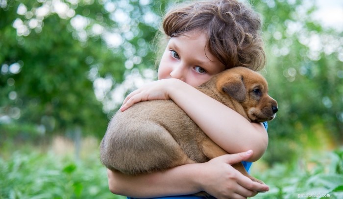 12 Surprising Ways Science Revealed the Secrets of Dogs in 2023