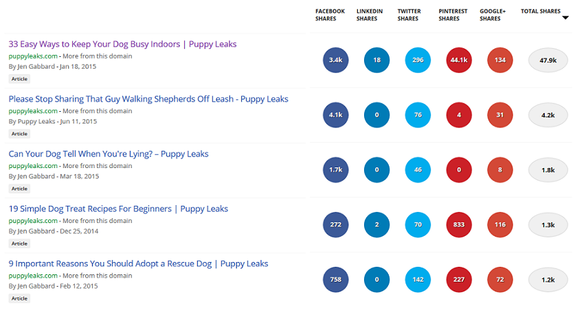 Puppy Leaks 2015 Year in Review: Milestones & Highlights