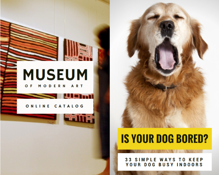 Puppy Leaks 2015 Year in Review: Milestones & Highlights
