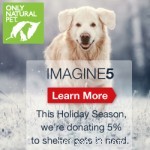 Top Holiday Deals on Dog Supplies – Save Big on Beds, Food & More