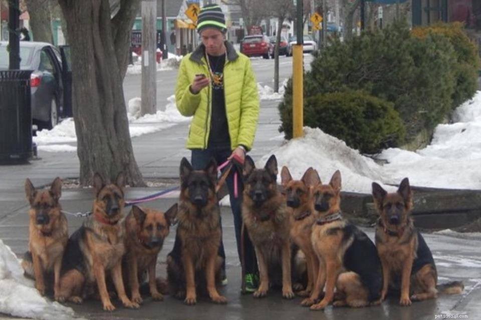 Pet Blogger Challenge 2016: Share Lessons, Ask Questions & Receive Feedback