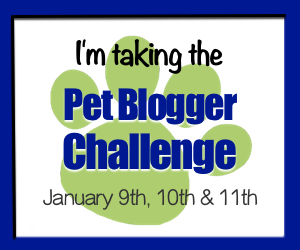 Pet Blogger Challenge 2016: Share Lessons, Ask Questions & Receive Feedback