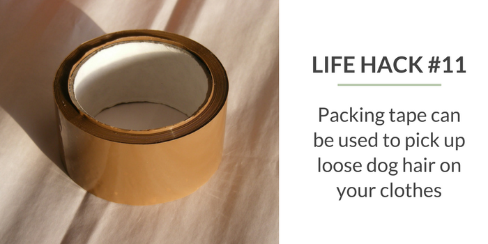 59 Proven Dog Owner Hacks for a Cleaner, Healthier Home