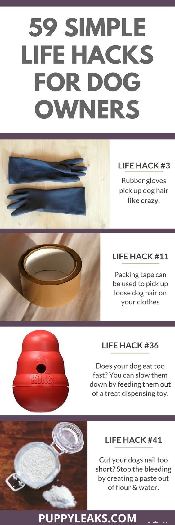 59 Proven Dog Owner Hacks for a Cleaner, Healthier Home