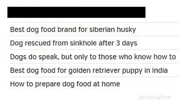 5 Dog Article Formats That Lose Readers – What to Avoid
