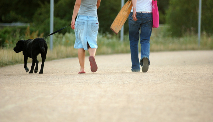 10 Essential Dog Walking Tips for a Healthy, Happy Bond