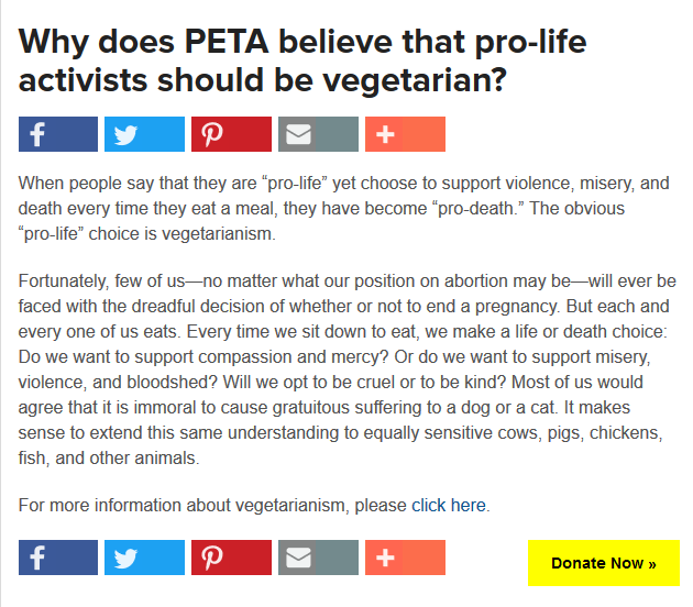 Late-Night Ethics Insights: Lessons from PETA’s FAQ