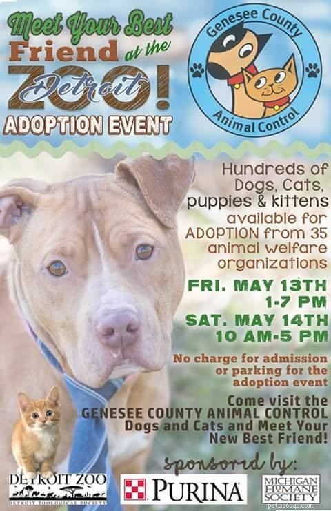 Adopt Your New Best Friend at Detroit Zoo – This Weekend s Meet Your Best Friend Event