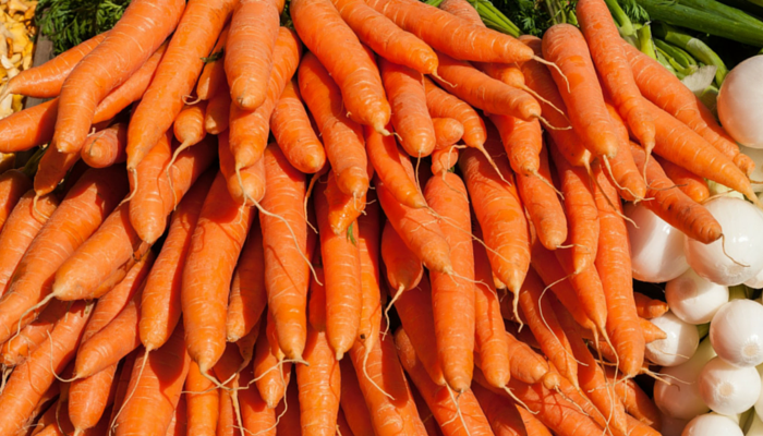 10 Proven Reasons Carrots Are the Best Dog Treat