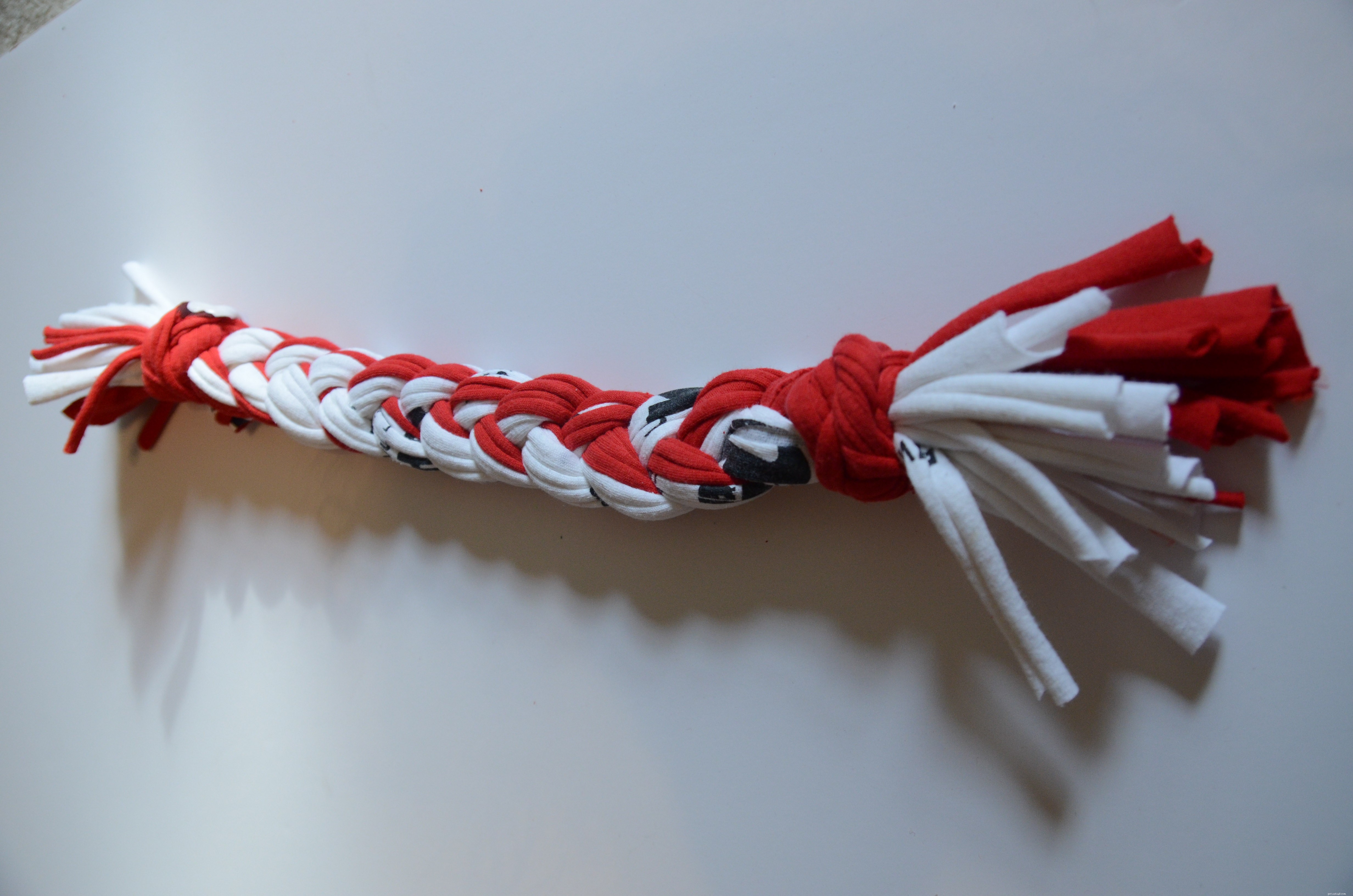 10 Simple DIY Dog Toys You Can Make at Home