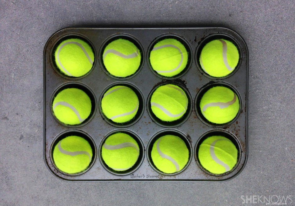 10 Simple DIY Dog Toys You Can Make at Home