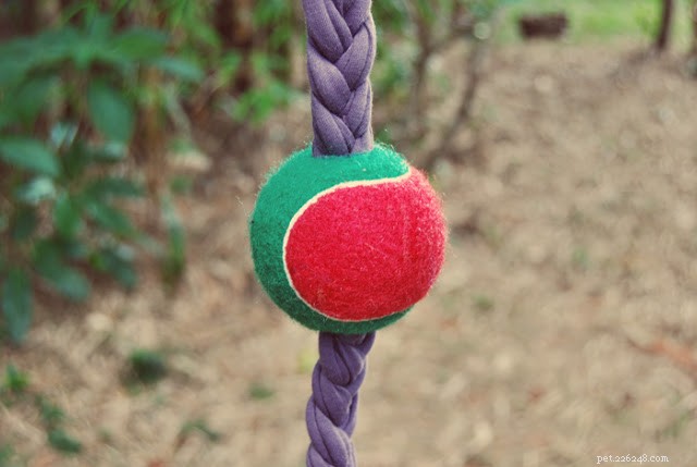 10 Simple DIY Dog Toys You Can Make at Home