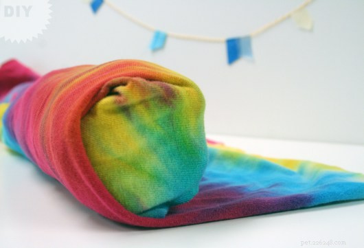 10 Simple DIY Dog Toys You Can Make at Home