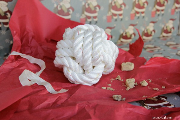 10 Simple DIY Dog Toys You Can Make at Home