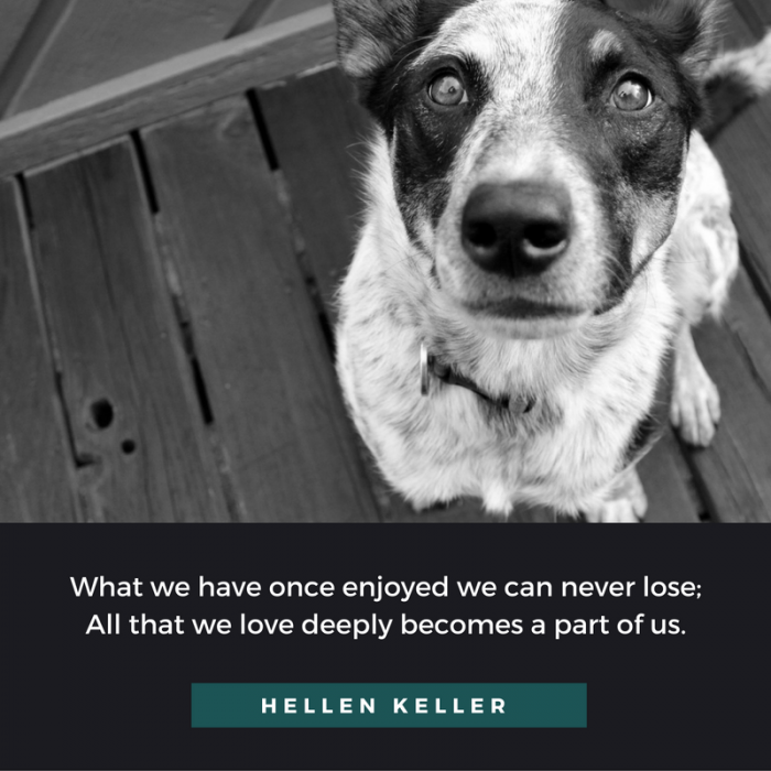 Understanding Pet Loss: Embrace Your Unique Grief Journey