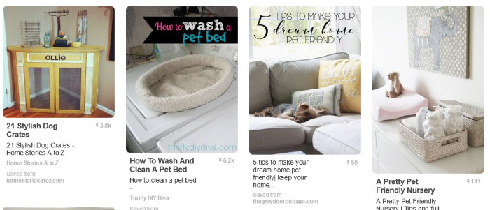 Top 20 Pinterest Boards Every Dog Lover Should Follow