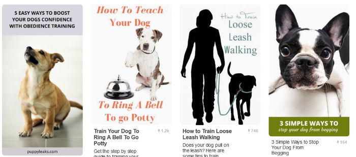 Top 20 Pinterest Boards Every Dog Lover Should Follow