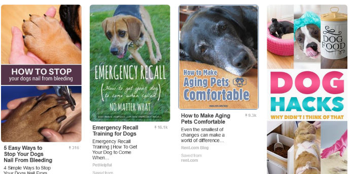 Top 20 Pinterest Boards Every Dog Lover Should Follow