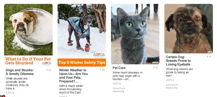 Top 20 Pinterest Boards Every Dog Lover Should Follow